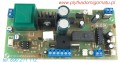 IMG_2933.jpg
